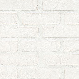 Alpine White Clay Brick 2.25x7.5