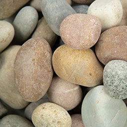 Amazon Multi Color Pebbles Landscape Rock