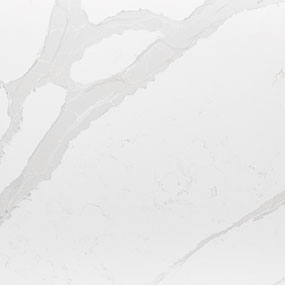 Calacatta Luccia Quartz