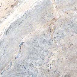 Silver Travertine Travertine