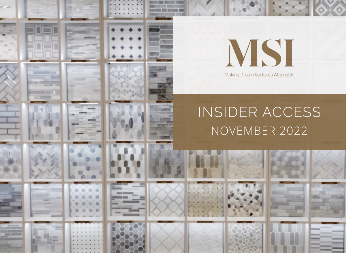 MSI Insider Access November 2022